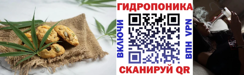 Canna-Cookies марихуана  Туран 