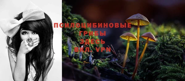 трава Балахна