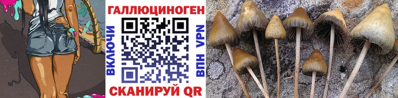 Галлюциногенные грибы мицелий  MEGA ССЫЛКА  Туран 