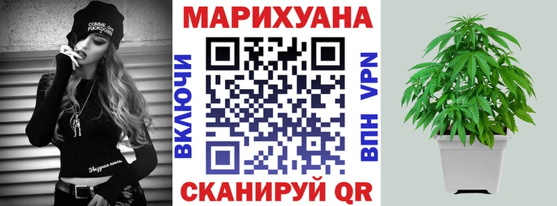 Бошки марихуана планчик  Туран 